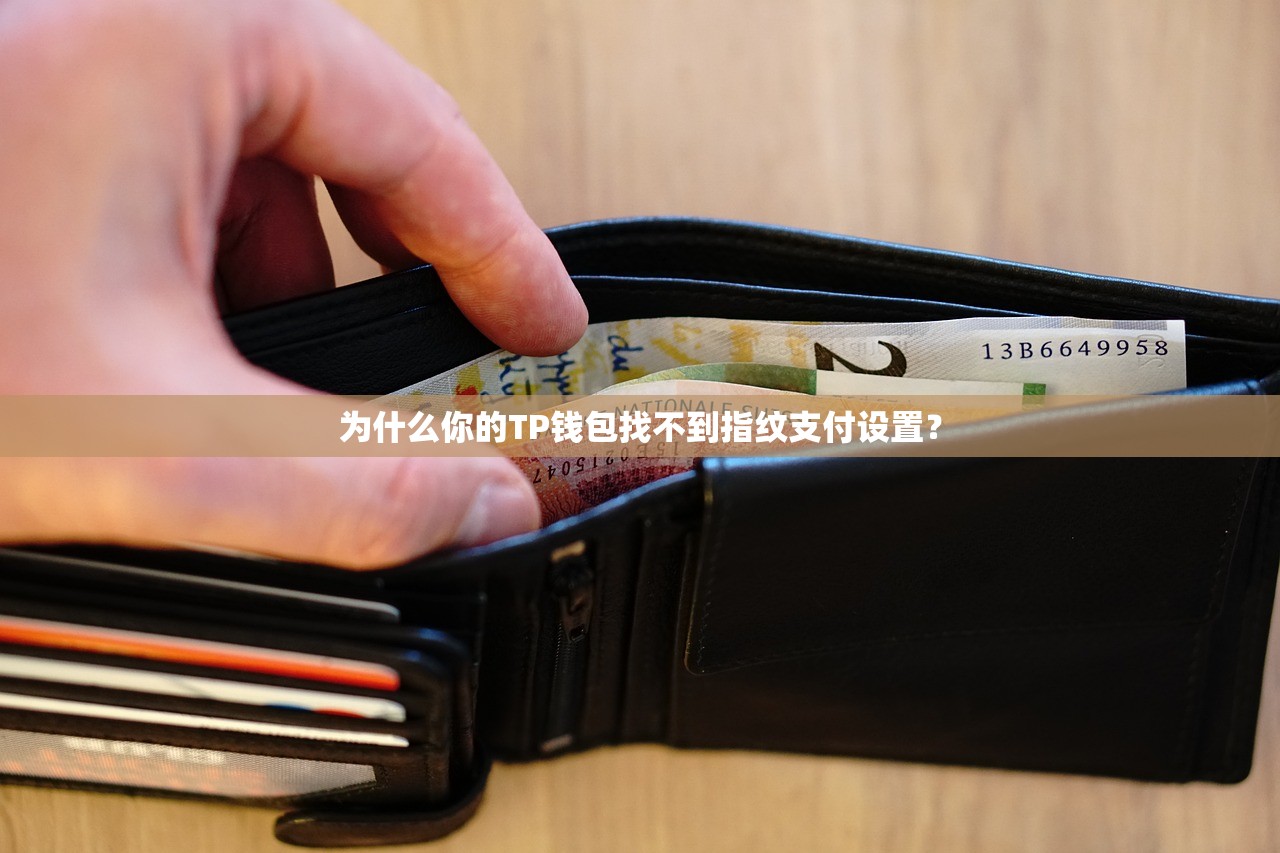 为什么你的TP钱包找不到指纹支付设置？