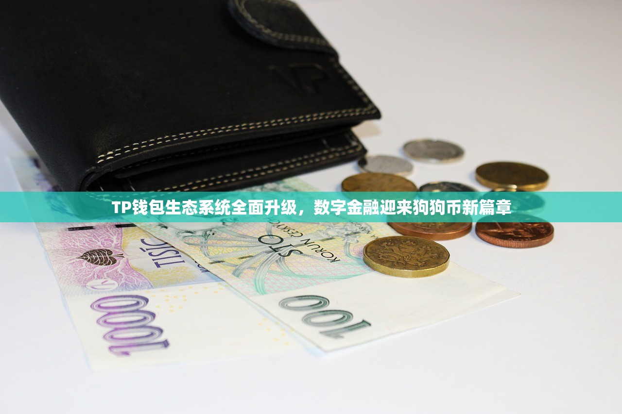 TP钱包生态系统全面升级，数字金融迎来狗狗币新篇章