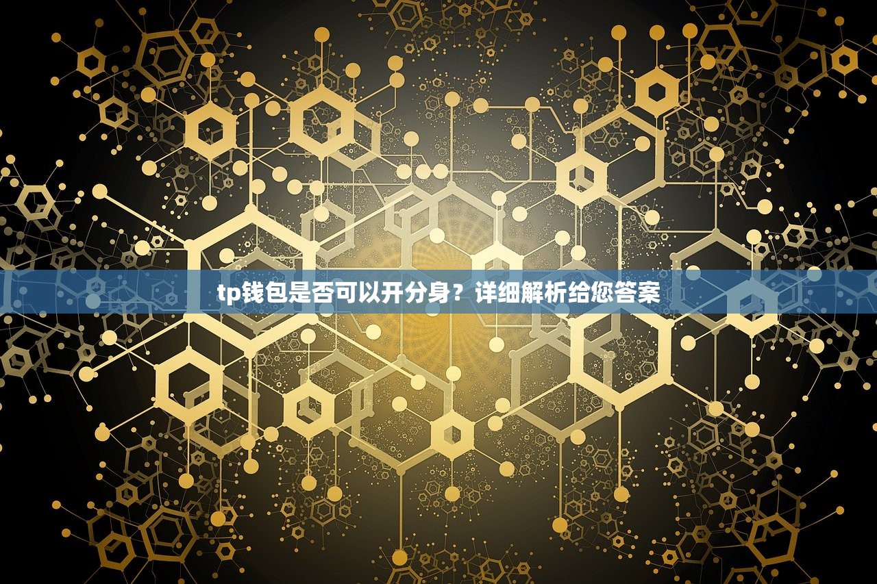 tp钱包是否可以开分身？详细解析给您答案