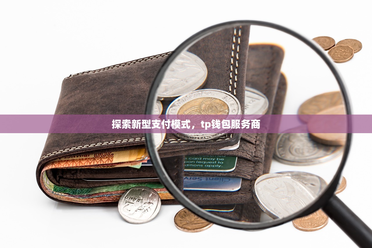 探索新型支付模式，tp钱包服务商