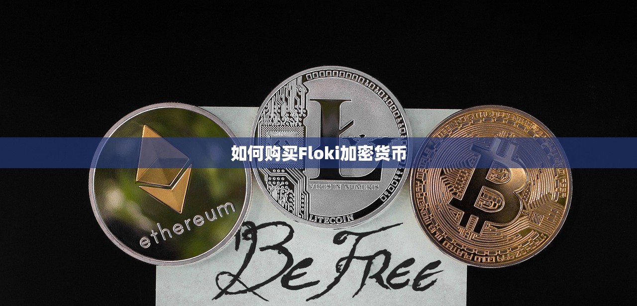 如何购买Floki加密货币
