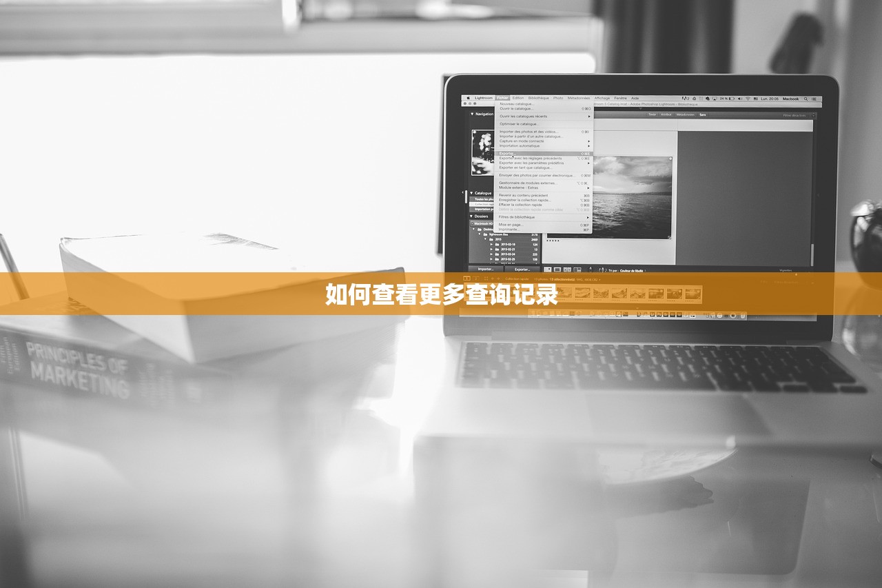 如何查看更多查询记录