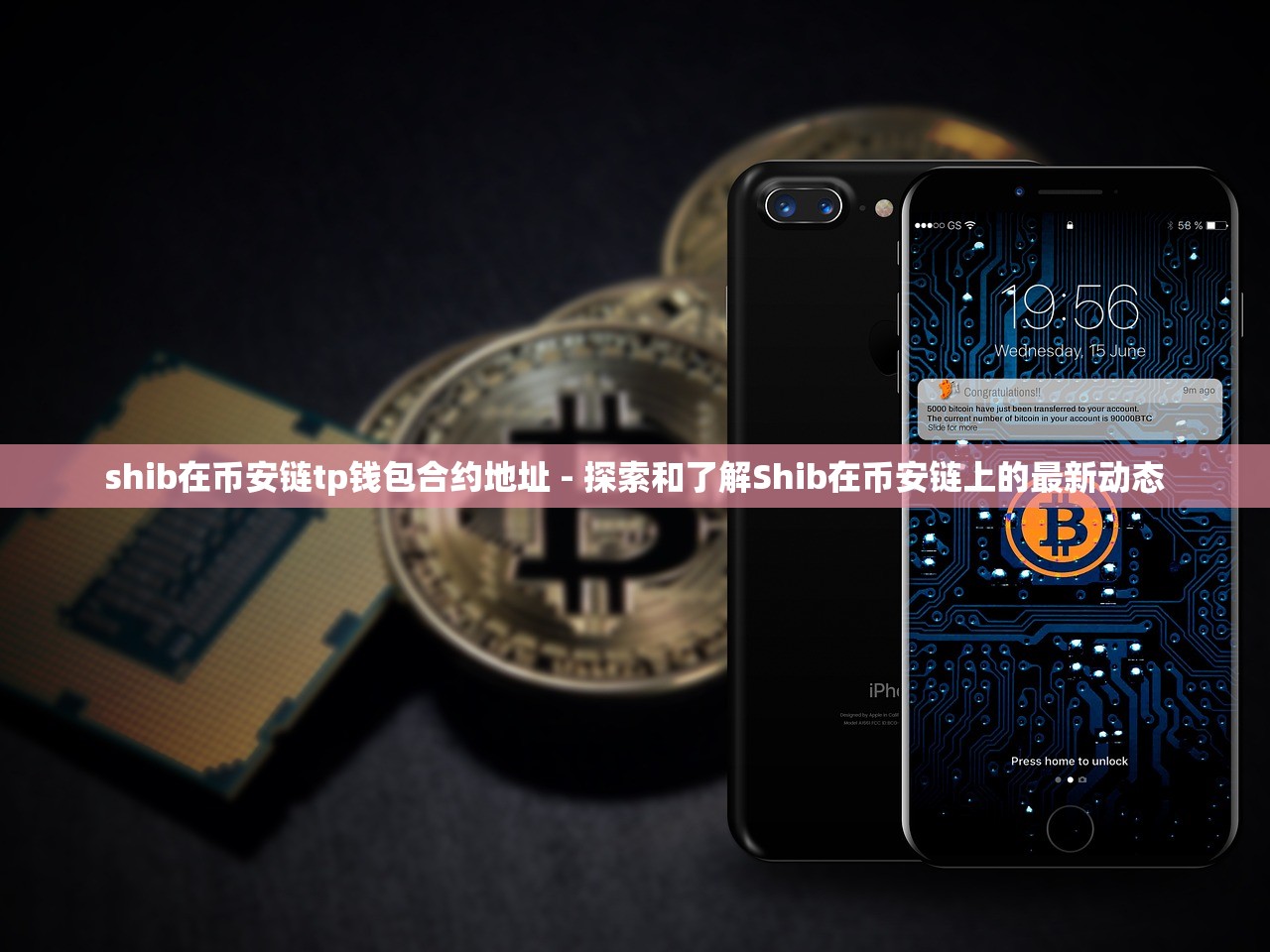 shib在币安链tp钱包合约地址 - 探索和了解Shib在币安链上的最新动态