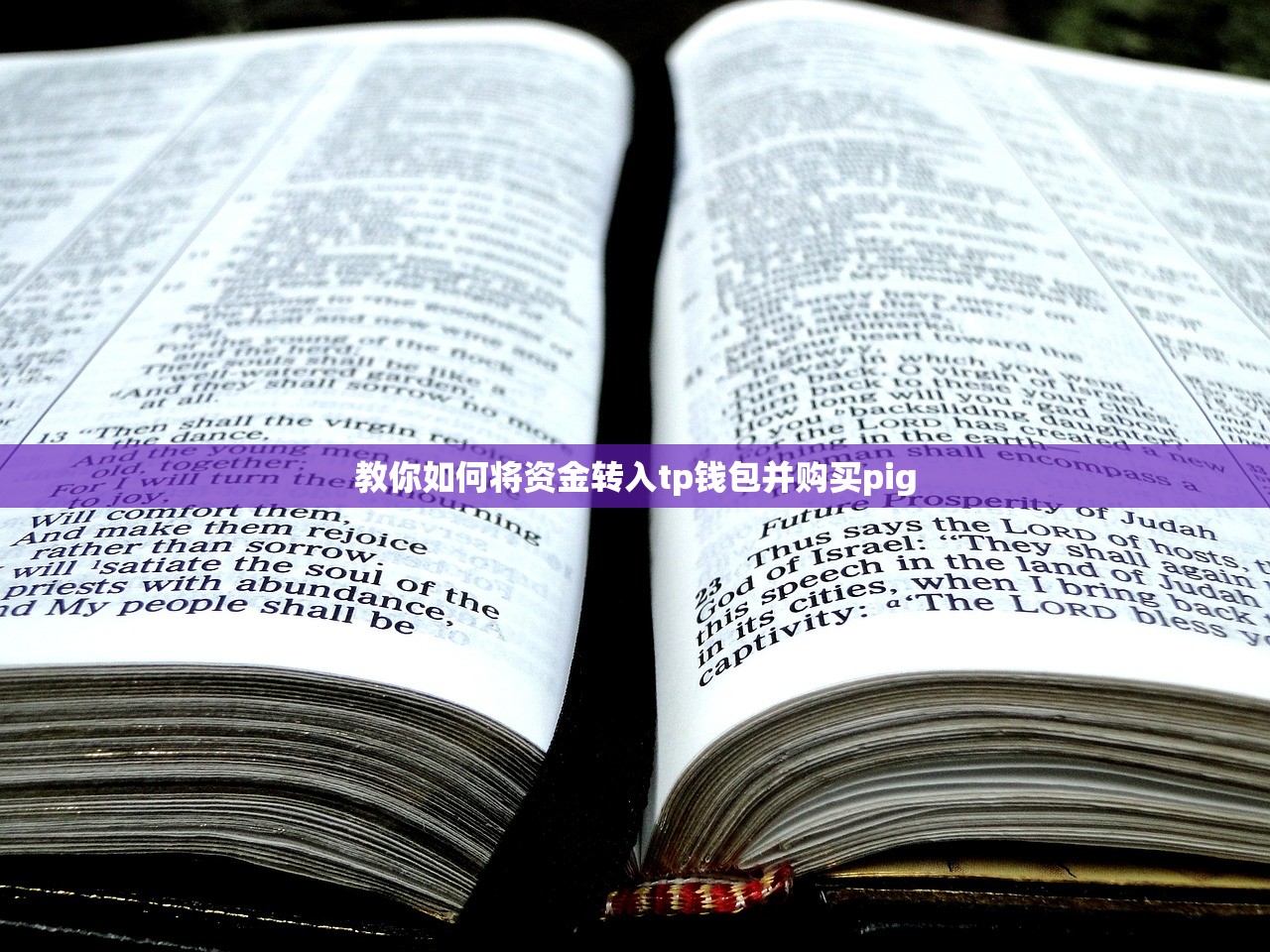 限时特惠！TP钱包官网版最新APP发布，下载立即有礼！