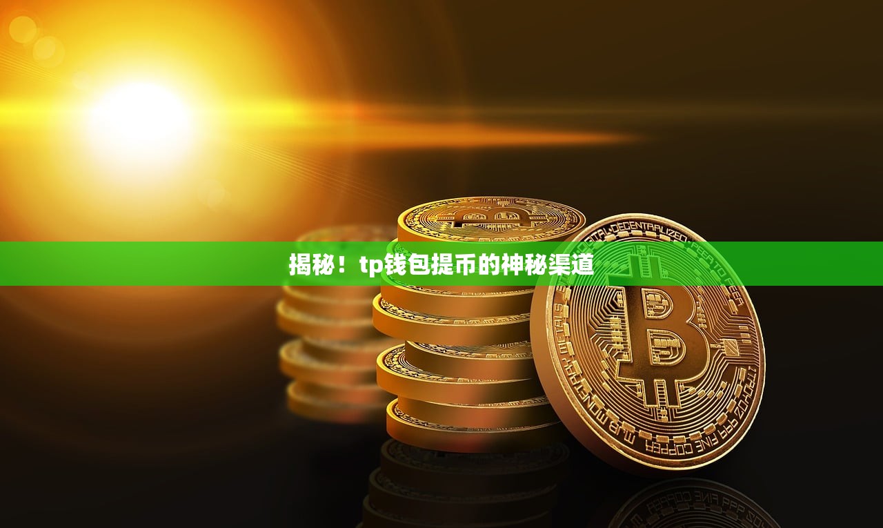 揭秘！tp钱包提币的神秘渠道
