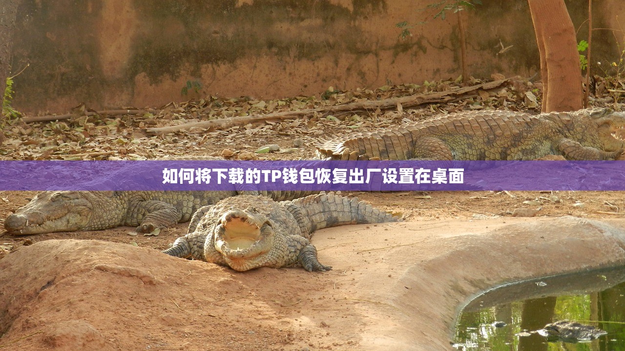 tp钱包忘记密码怎么办