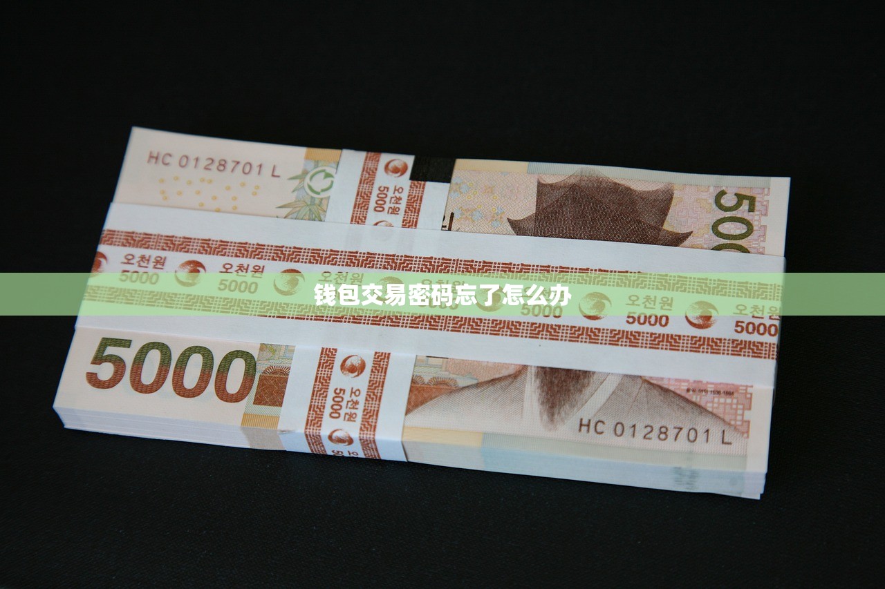 钱包交易密码忘了怎么办