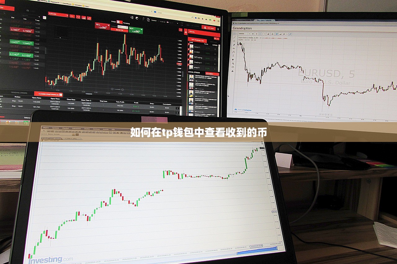 如何将TP观察钱包中的币种转出