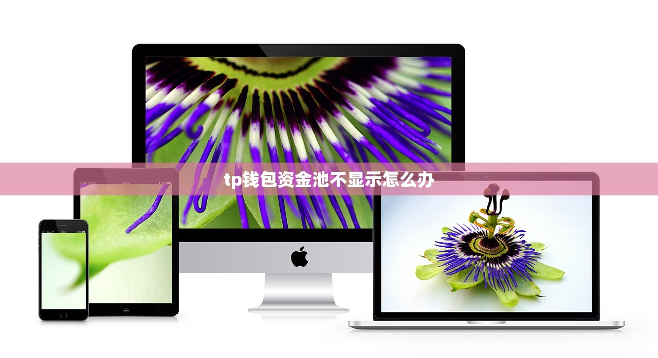 tp钱包资金池不显示怎么办