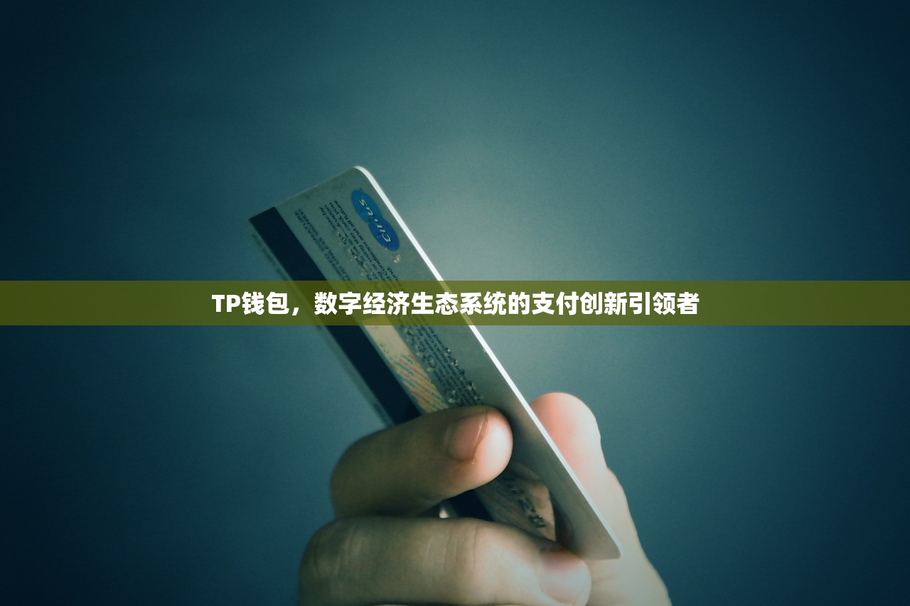 TP钱包，数字经济生态系统的支付创新引领者
