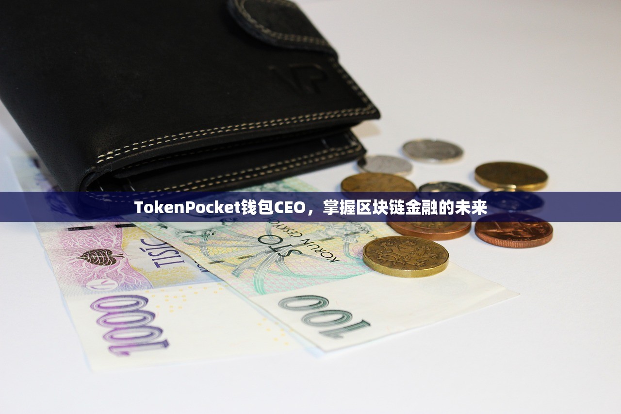 TokenPocket钱包CEO，掌握区块链金融的未来