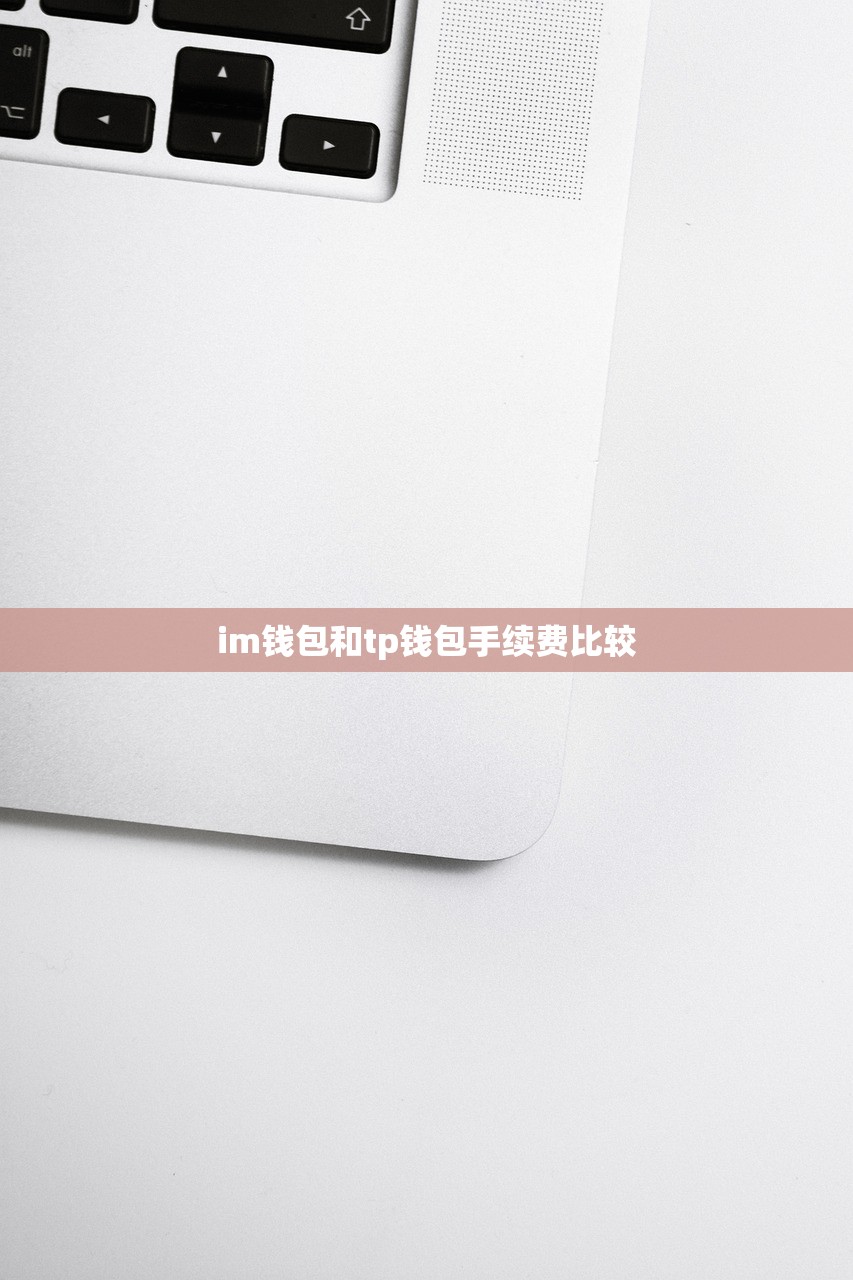 im钱包和tp钱包手续费比较