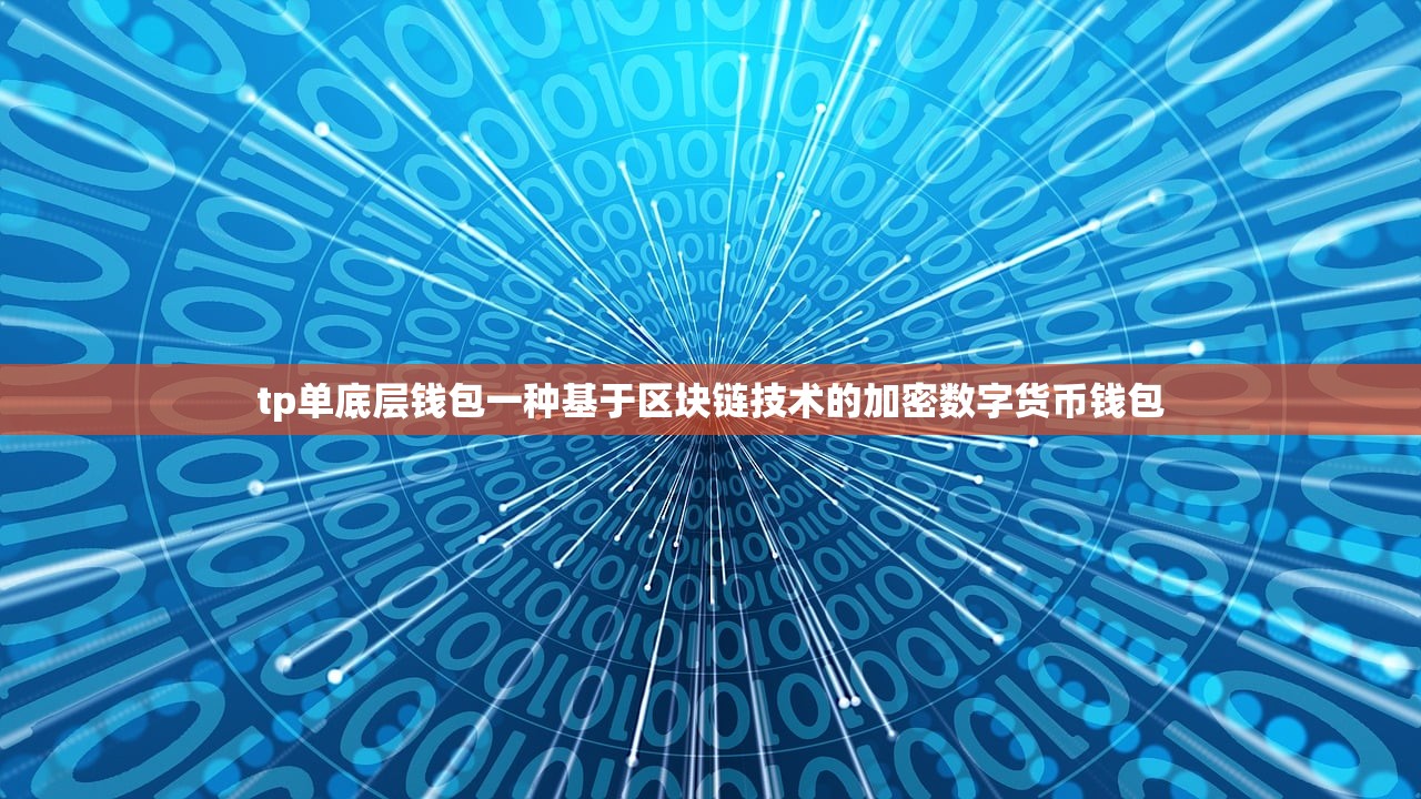谁懂tp钱包——深入了解TP钱包
