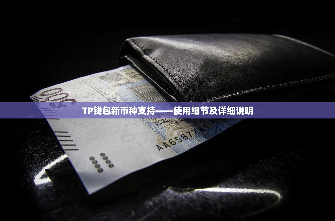 TP钱包新币种支持——使用细节及详细说明