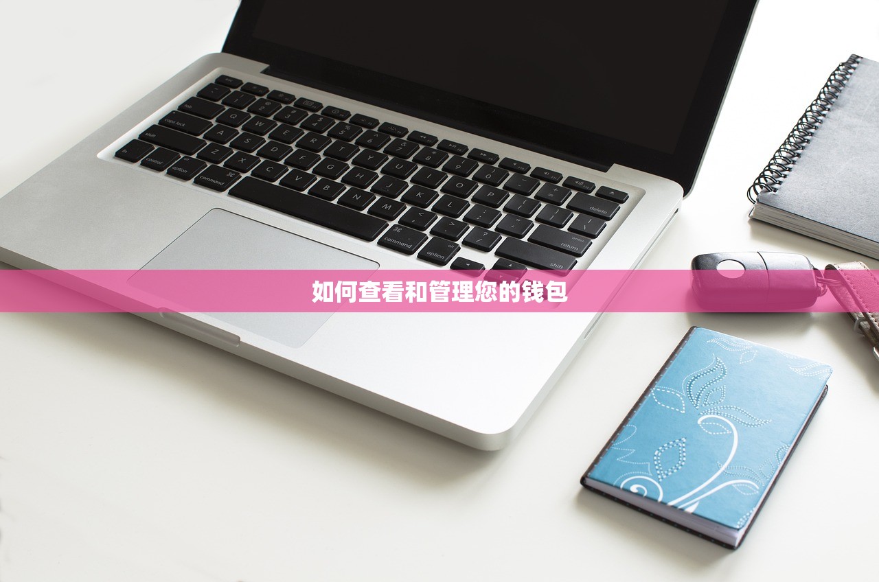 如何查看和管理您的钱包