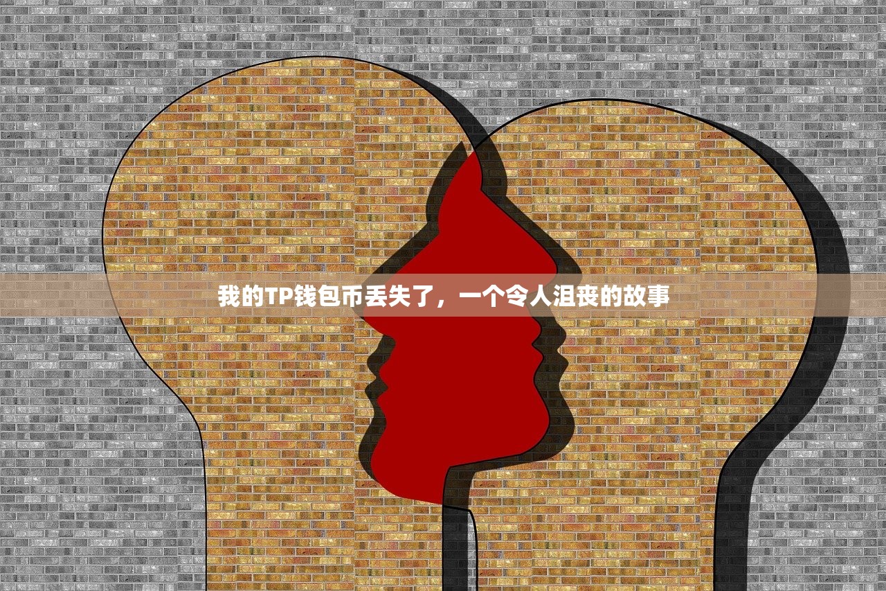 我的TP钱包币丢失了，一个令人沮丧的故事