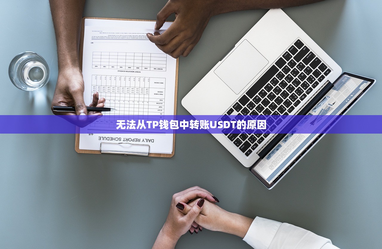 无法从TP钱包中转账USDT的原因