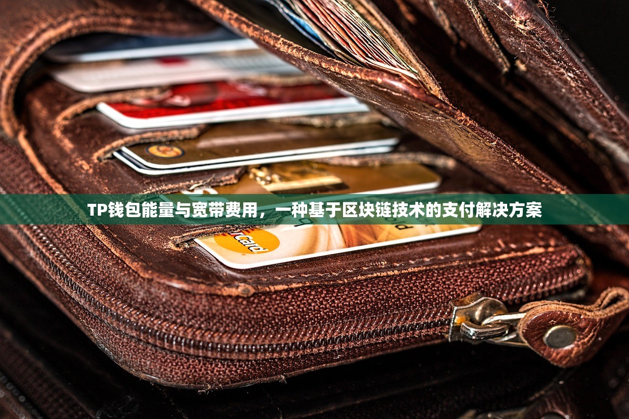 TP钱包能量与宽带费用，一种基于区块链技术的支付解决方案