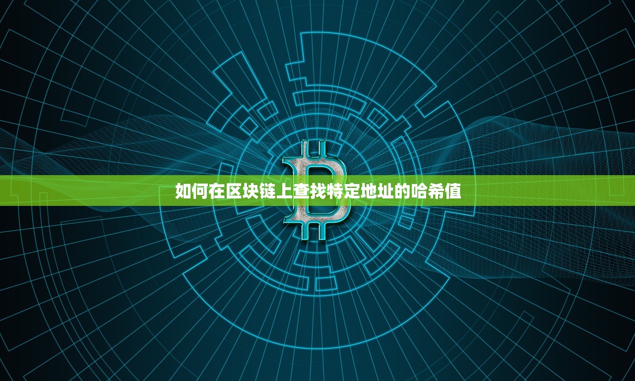 如何在区块链上查找特定地址的哈希值