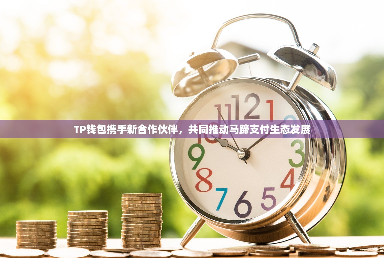 TP钱包携手新合作伙伴，共同推动马蹄支付生态发展