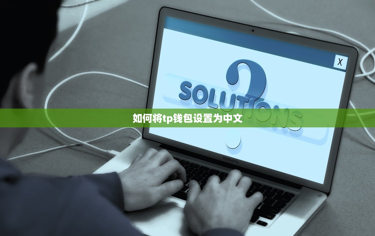 如何将tp钱包设置为中文
