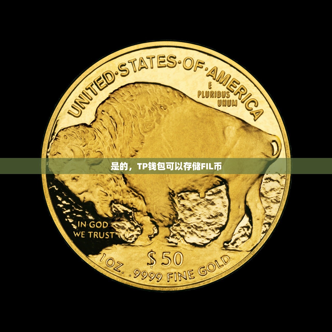 是的，TP钱包可以存储FIL币