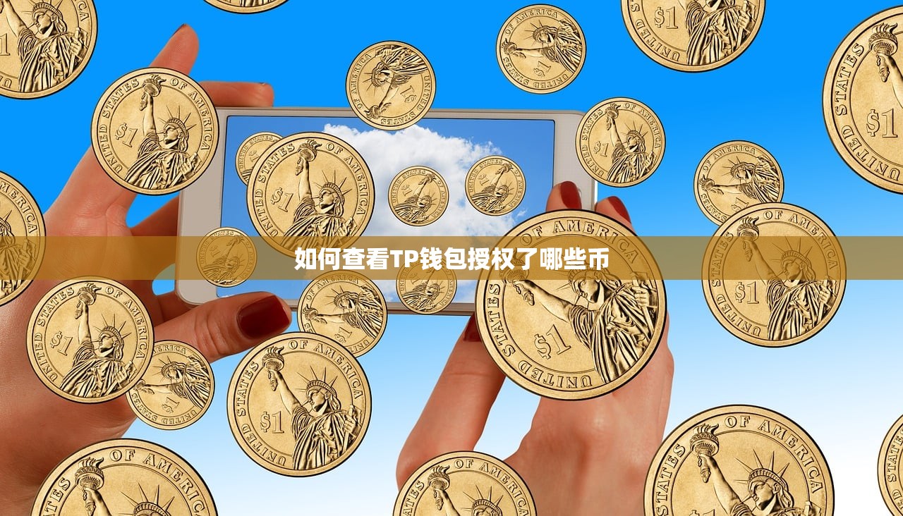如何查看TP钱包授权了哪些币