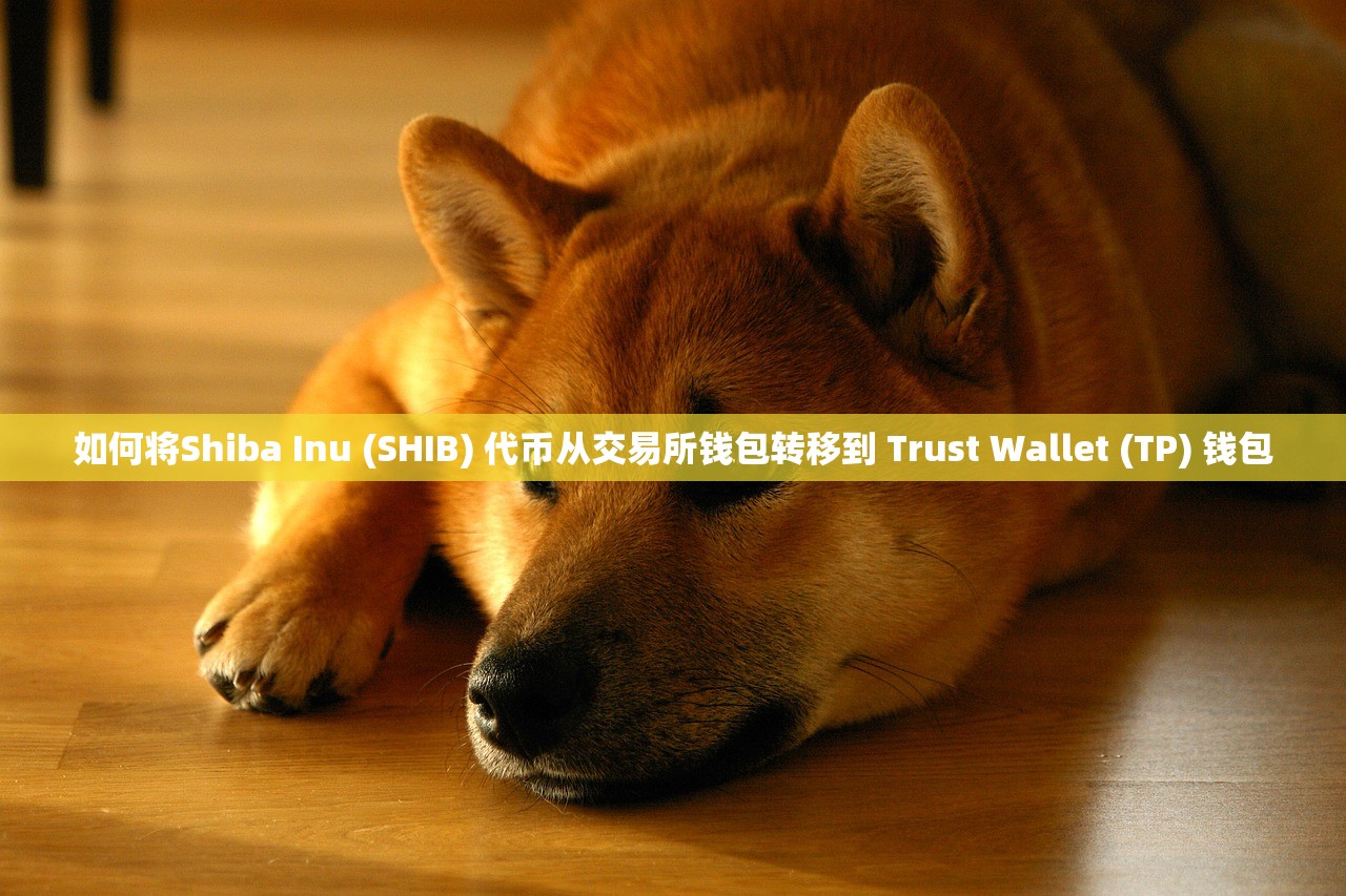 如何将Shiba Inu (SHIB) 代币从交易所钱包转移到 Trust Wallet (TP) 钱包