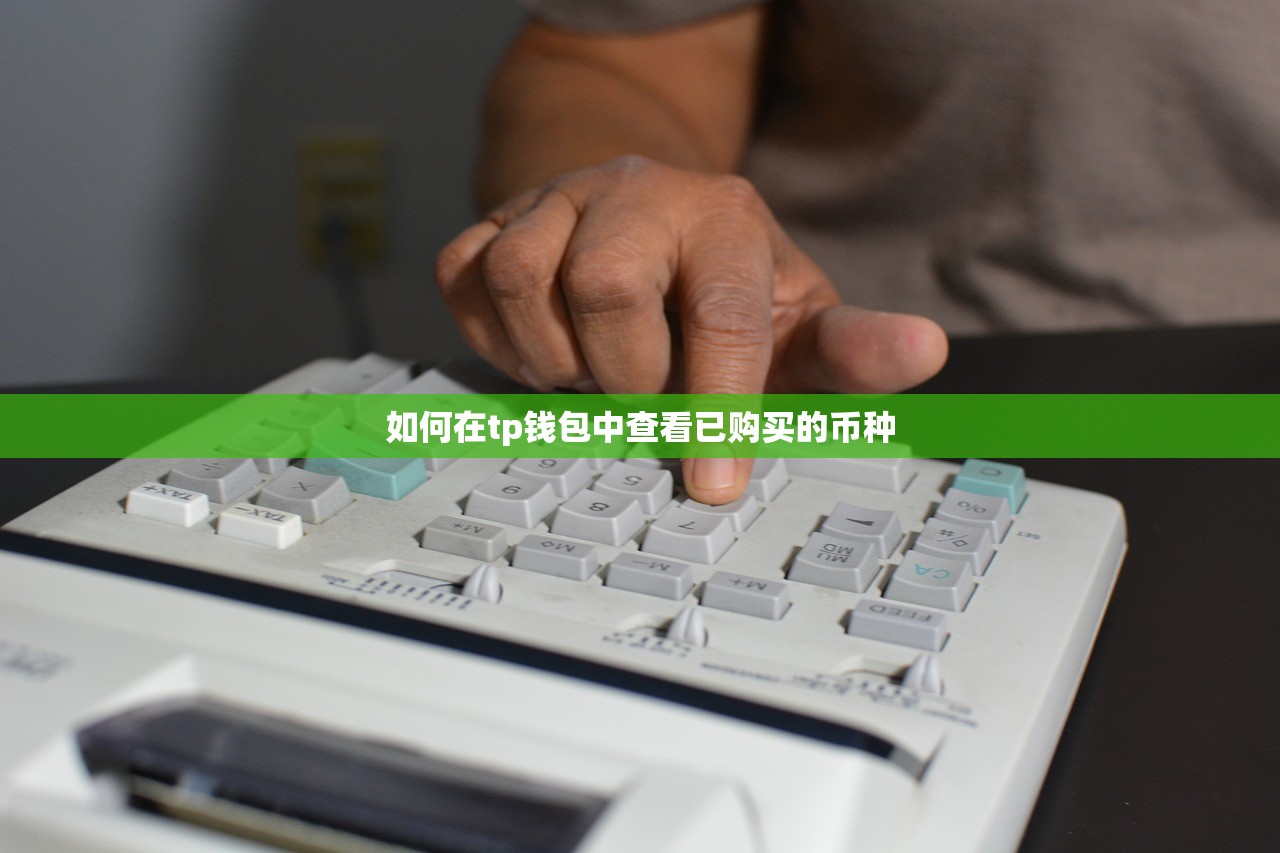 如何在tp钱包中查看已购买的币种