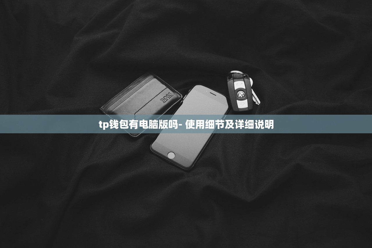 tp钱包有电脑版吗- 使用细节及详细说明