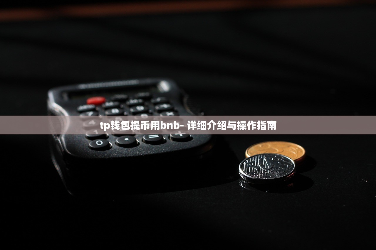 tp钱包提币用bnb- 详细介绍与操作指南