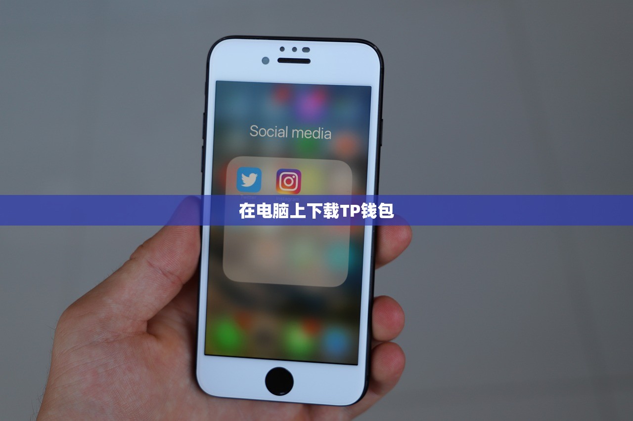 在电脑上下载TP钱包