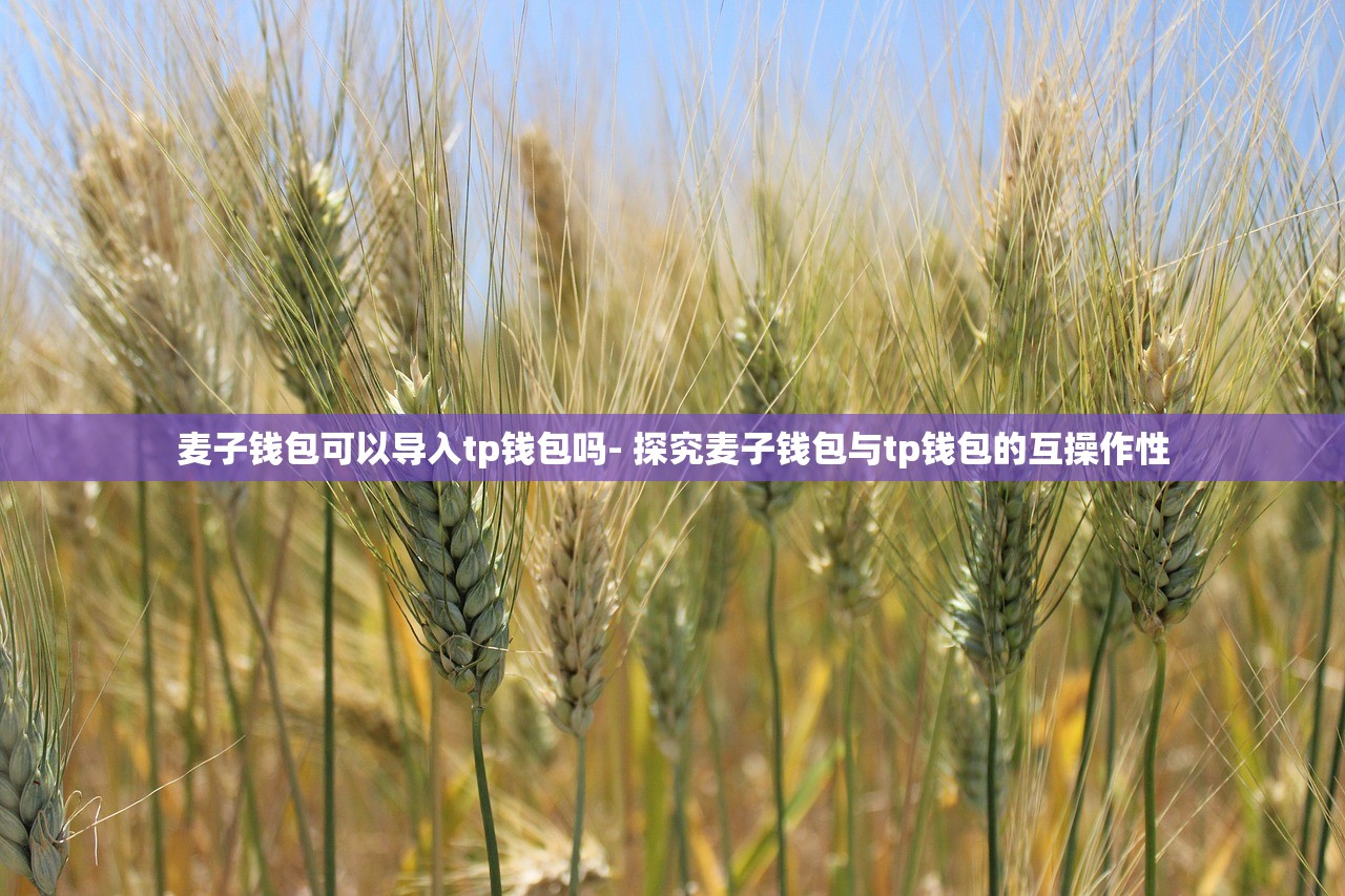TP钱包USDT跨链转账详解