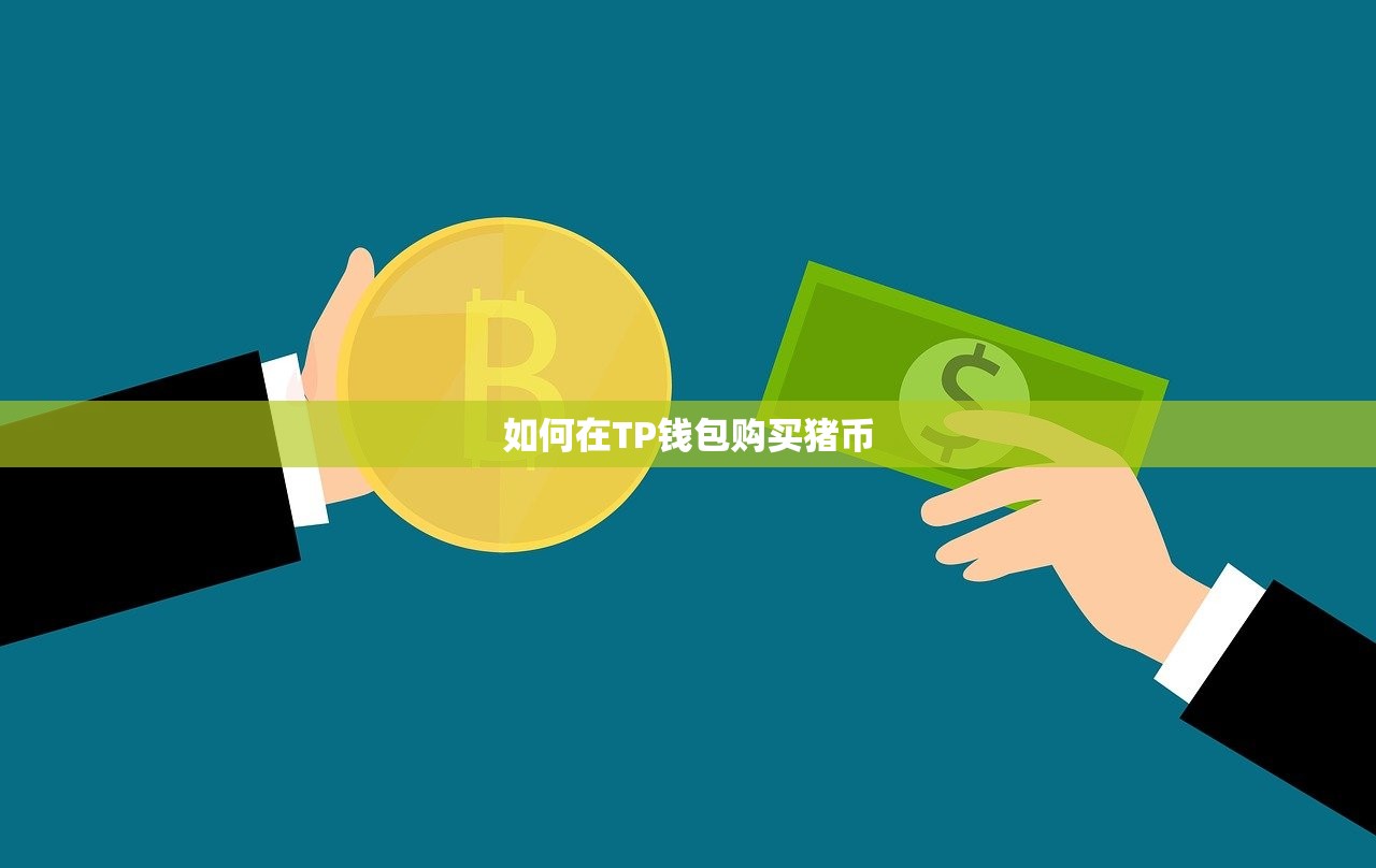 如何在TP钱包购买猪币