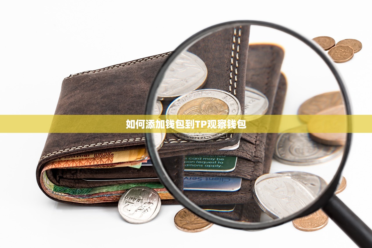 如何添加钱包到TP观察钱包