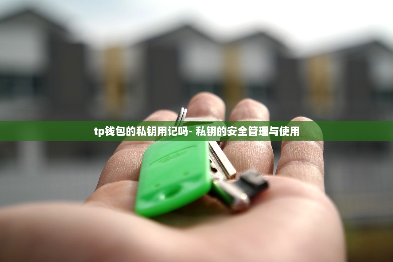 tp钱包的私钥用记吗- 私钥的安全管理与使用