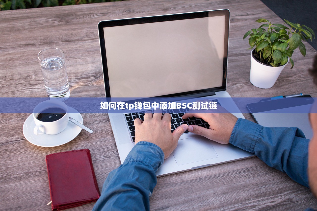 如何在tp钱包中添加BSC测试链