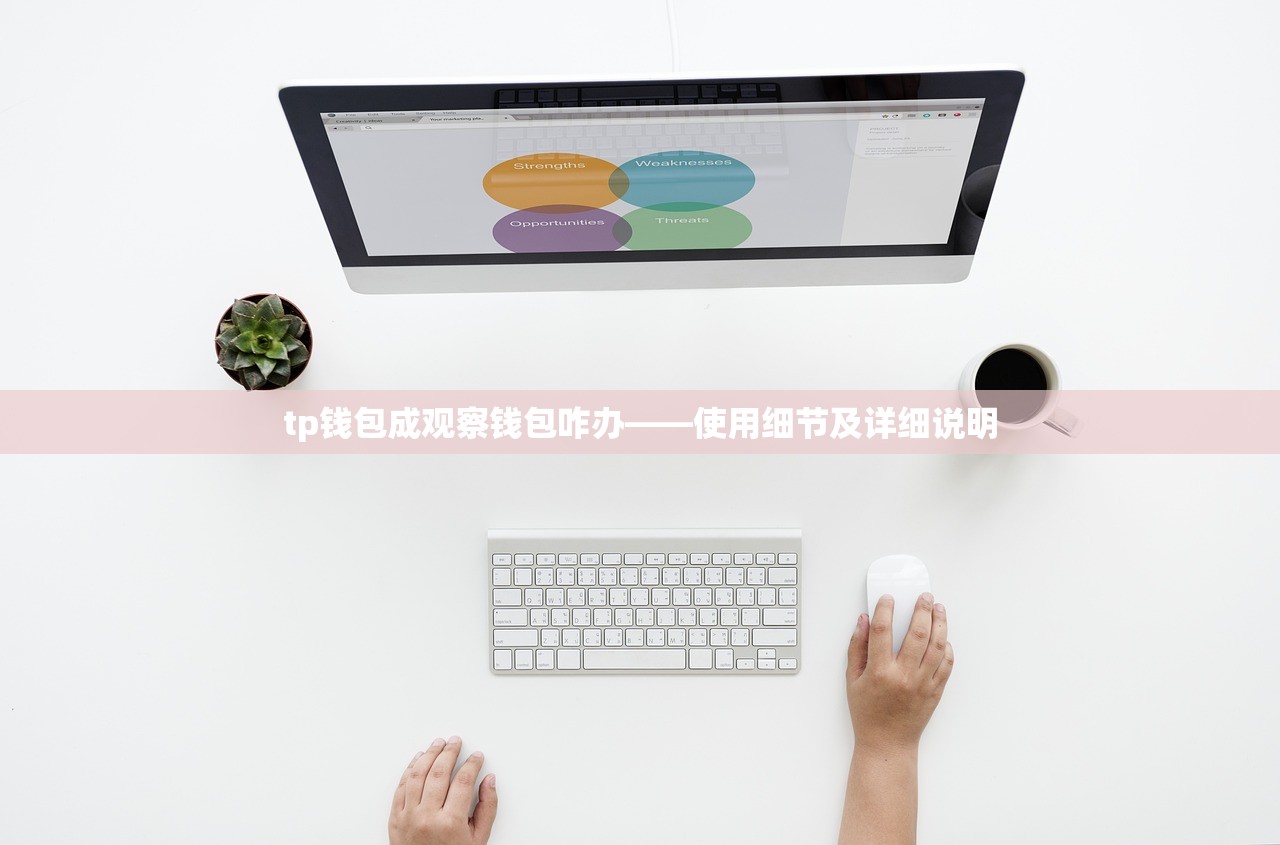 tp钱包成观察钱包咋办——使用细节及详细说明