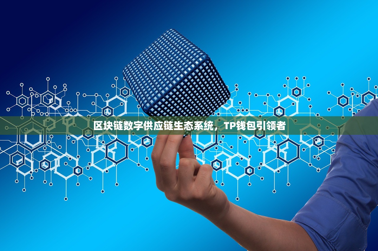 区块链数字供应链生态系统，TP钱包引领者