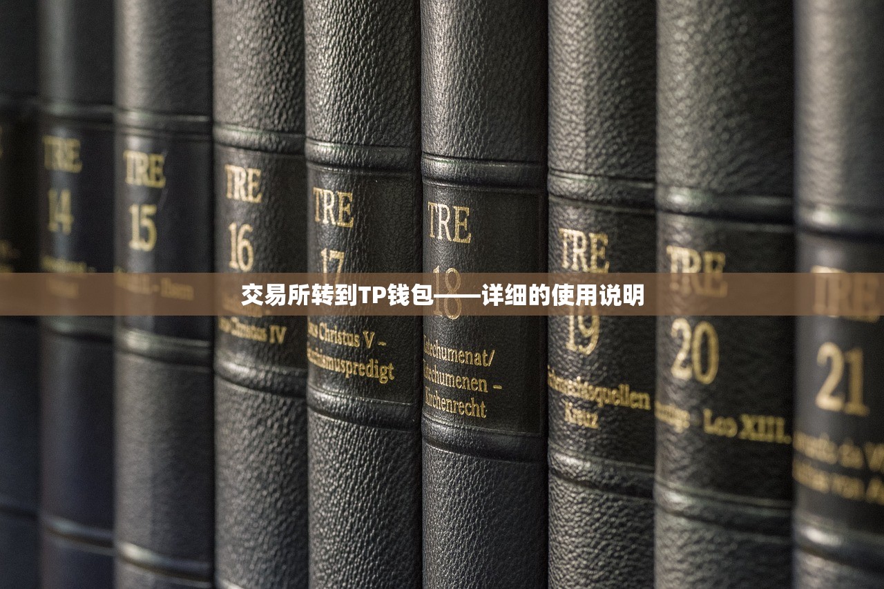交易所转到TP钱包——详细的使用说明