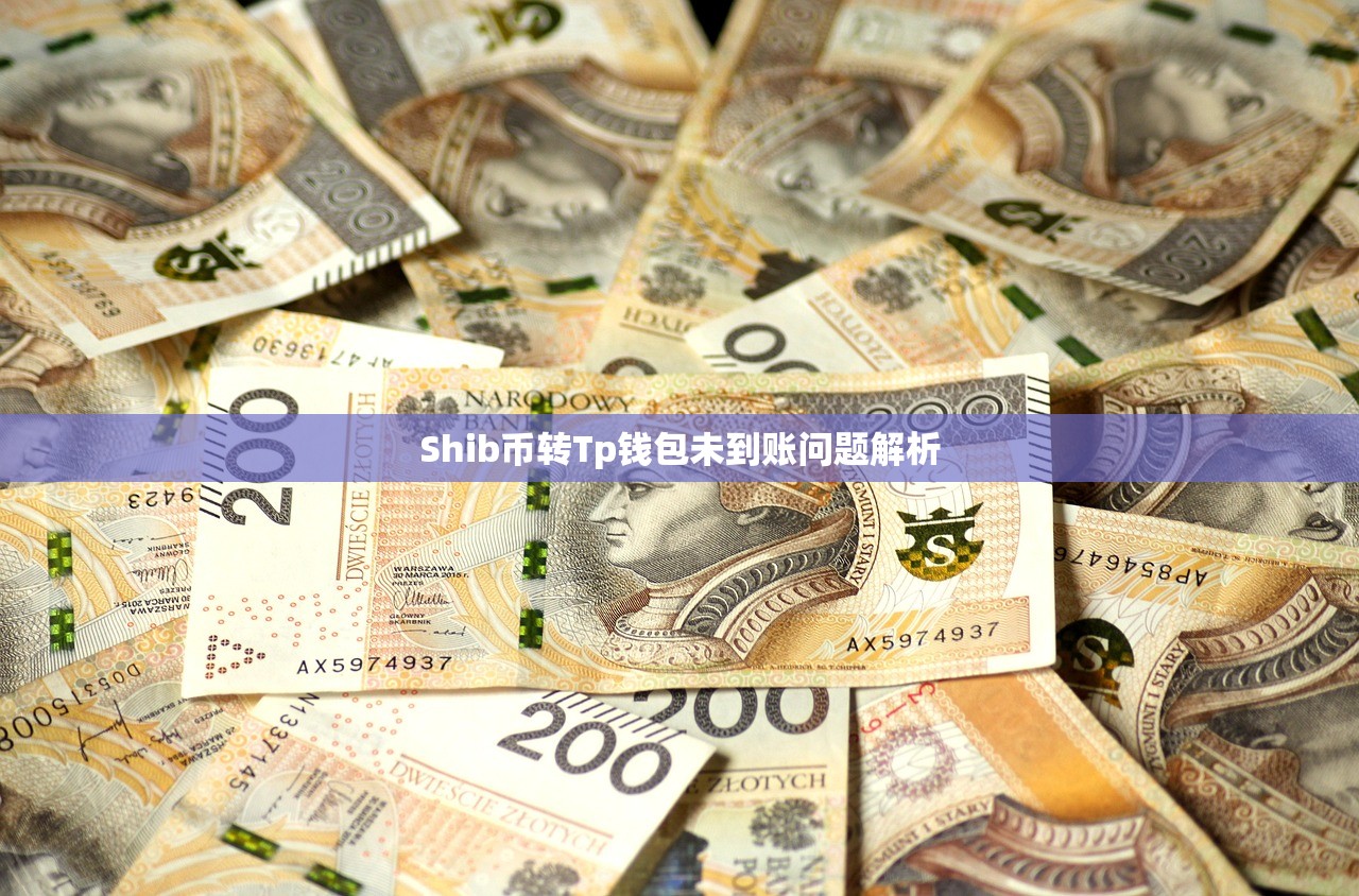 Shib币转Tp钱包未到账问题解析