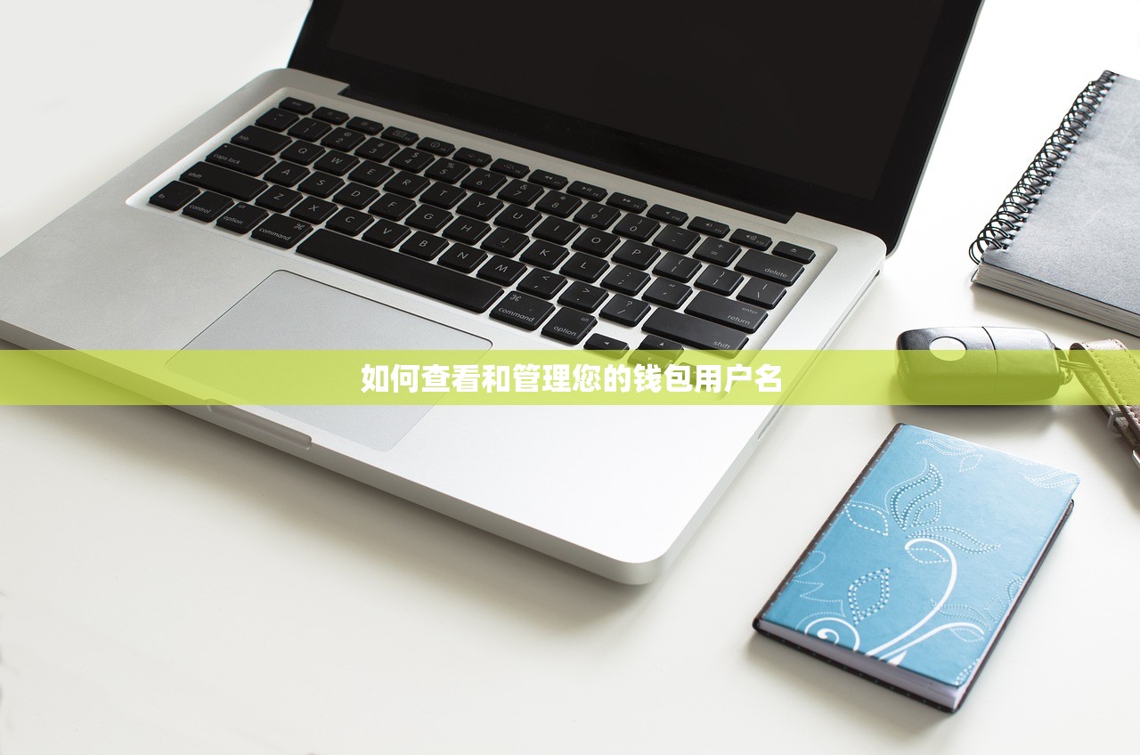 如何查看和管理您的钱包用户名
