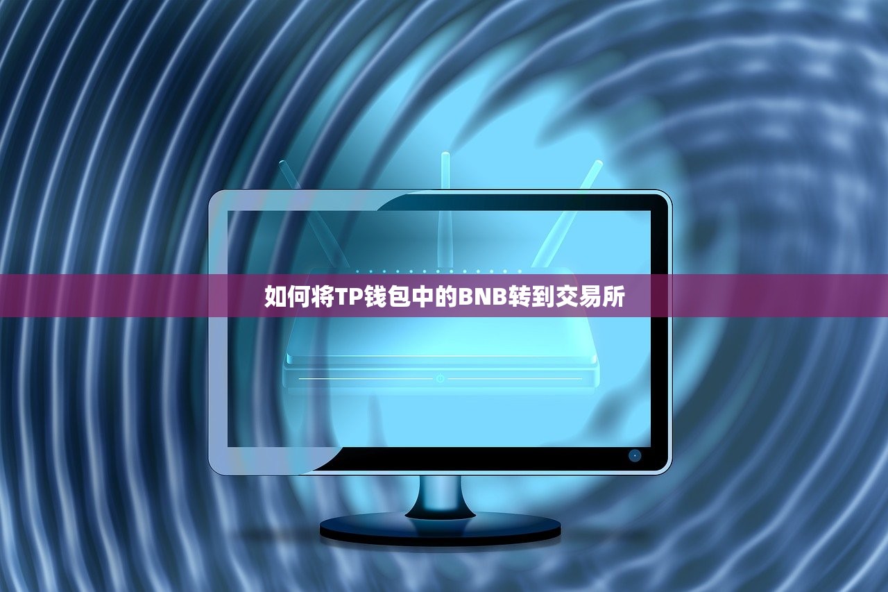 如何将TP钱包中的BNB转到交易所