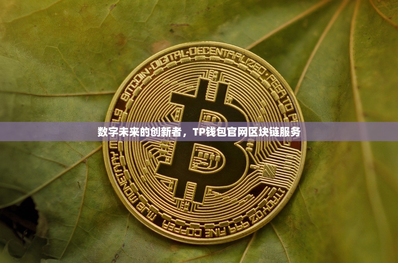 数字未来的创新者，TP钱包官网区块链服务