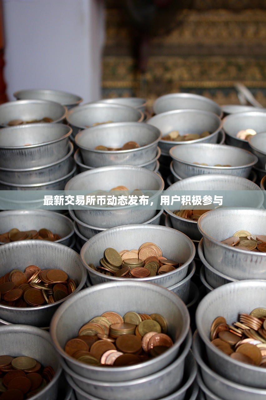最新交易所币动态发布，用户积极参与