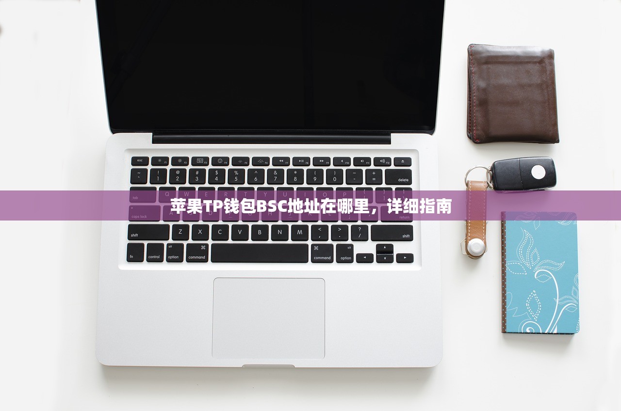 苹果TP钱包BSC地址在哪里，详细指南