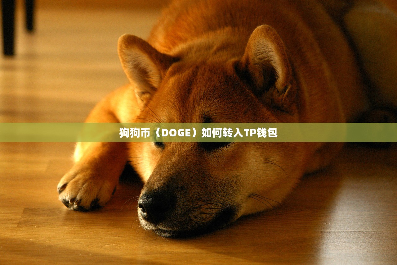 狗狗币（DOGE）如何转入TP钱包