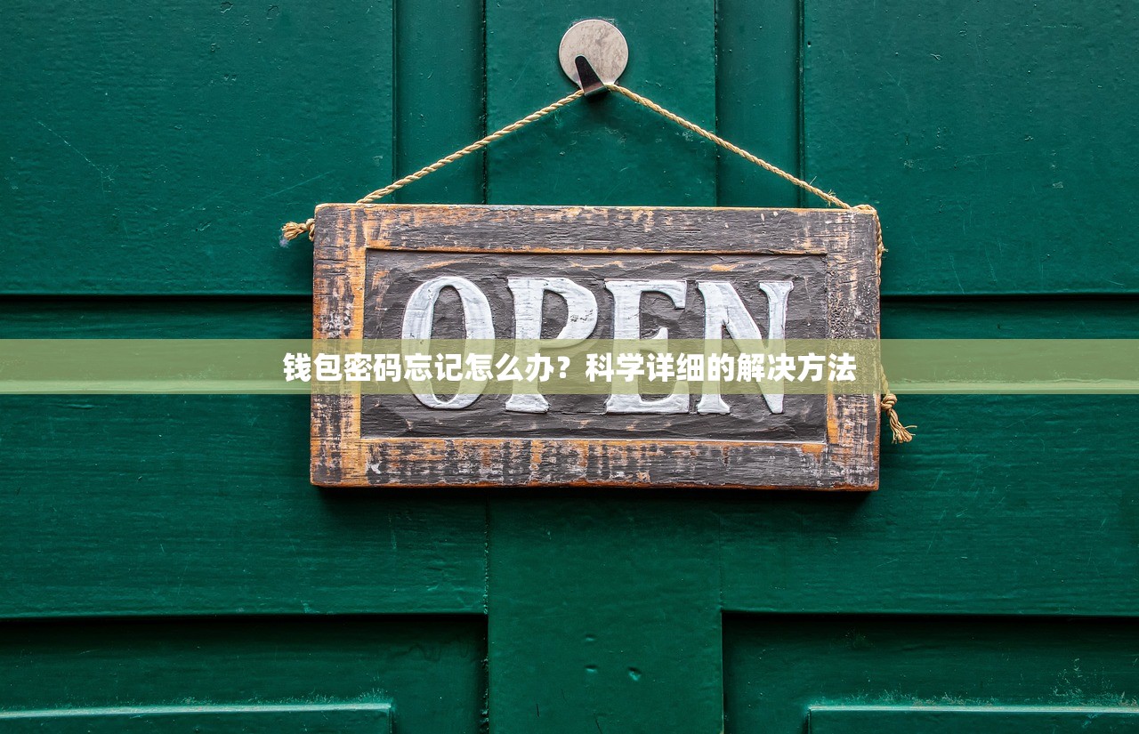 钱包密码忘记怎么办？科学详细的解决方法