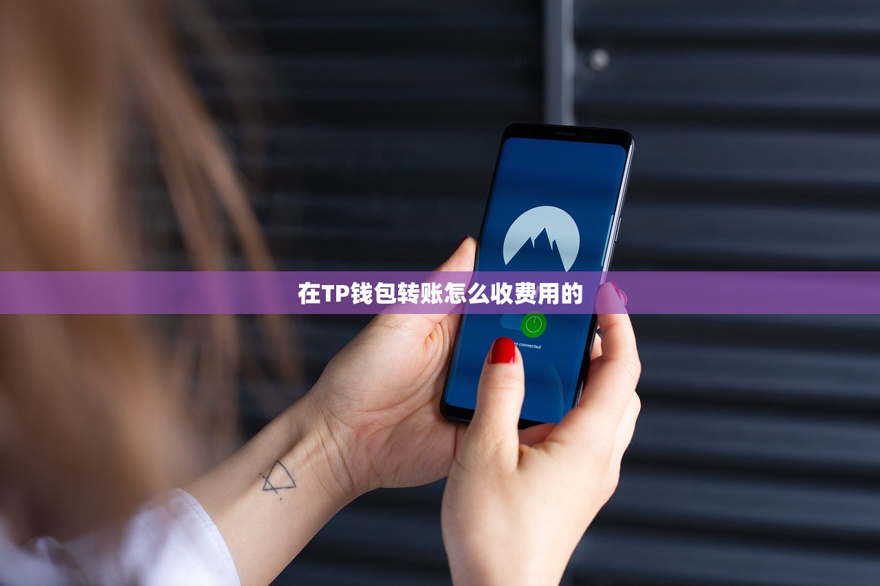 在TP钱包转账怎么收费用的