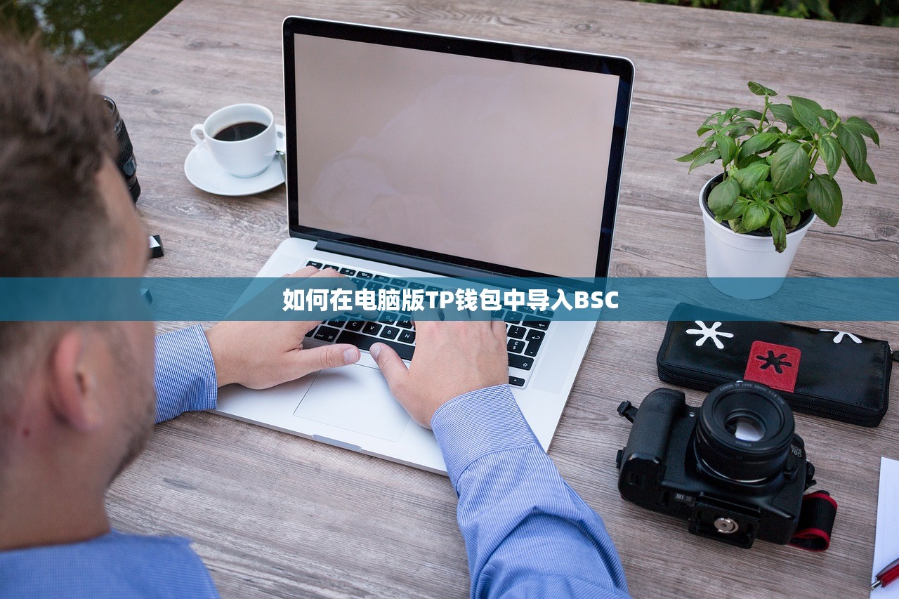 如何在电脑版TP钱包中导入BSC
